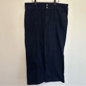 Isaac Mizrahi Live! Dark Blue Jeans Size 18WP Petite